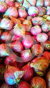 Red onion is a complementary spice in cooking .