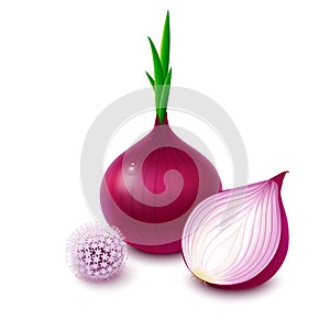 Red onion with flower on white background