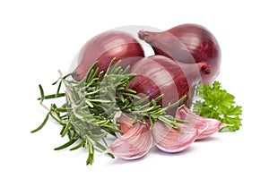Red onion, garlic and fresh rosemary