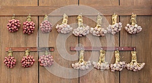 Red onion and garlic on wall