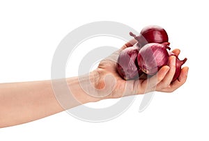 red onion in hand