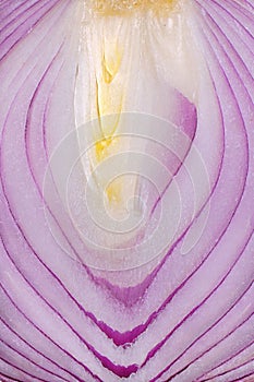 Red Onion Inside Chore Background photo