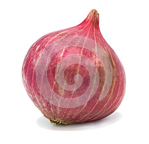 Red onion isolated on white background with clipping path