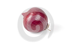 Red Onion Isolated On White