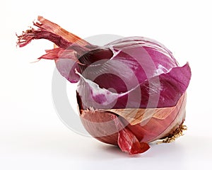 Red onion layers (allium)