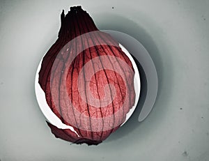 Onion