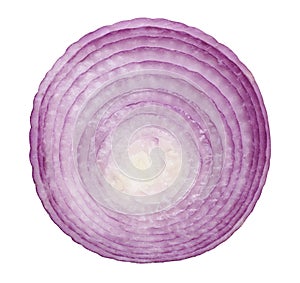 red onion portion on white