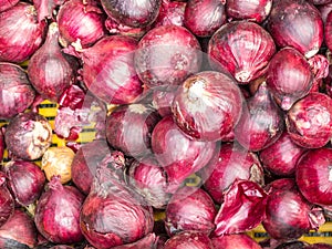 Red Onion Texture