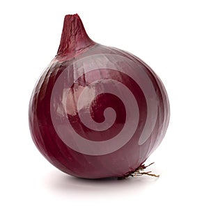 Red onion tuber photo