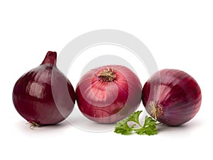 Red onion tuber and fresh parsley photo