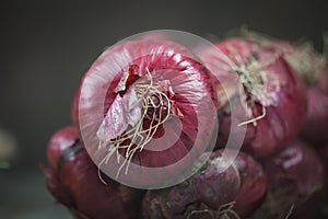 Red onion on a very old oak wooden board. Autumn background. Selective focus.