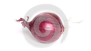 Red onion on white background