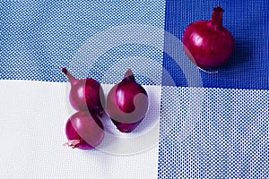Red and white onion on a background divided into four parts