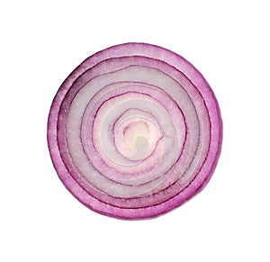 Red onion on white background. Top view