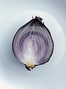 Red Onion on White Plate