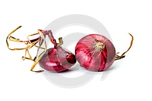 Red onionisolated on white background