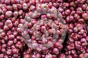 Red onions