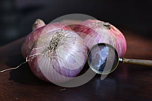 Red onions of Acquaviva delle Fonti Apulia, Italy, composition with magnifying glass.