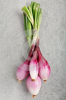 Red onions bunch, Tropea type, on gray stone