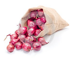 Red onions in burlap sack