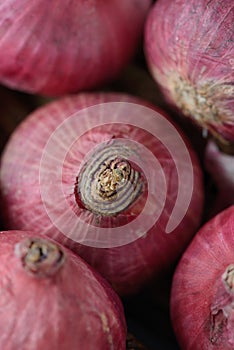 Red onions