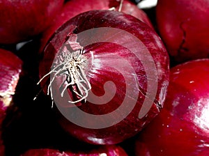 Red onions at Farmer`s market