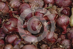 Red onions in plenty texture .
