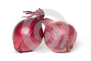 Red onions on white background