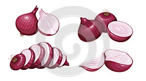 Red onions whole, half, sliced circle and quarter