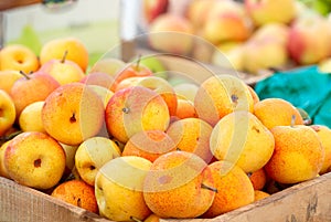 Red-Orange Aisan Pears in bushel crates