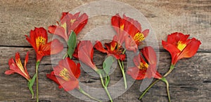 Red Orange Alstroemeria Astromeria flower Arrangement over Rustic wooden Table Flat Lay photo