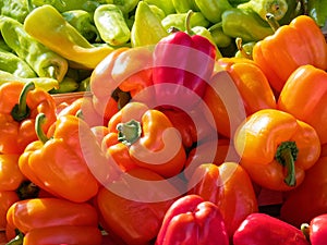 Red and Orange Bell Peppers For Sale at Market