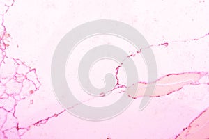 Red, orange and pink marble pattern, showing white background with pink veins, or grains, in the marble slate. This is a cut