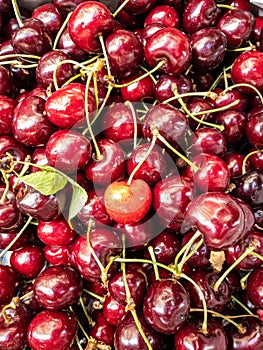 Red and orange Rainier Cherries