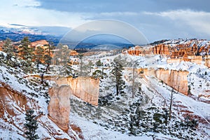 Red orange slickrock and pine trees under new snow near Bryce Canyon National Park, Cedar Breaks, Southern Utah