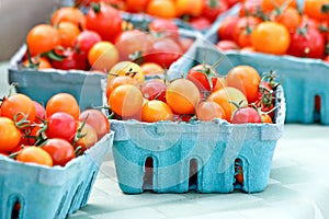 Red and Orange Tomatoes