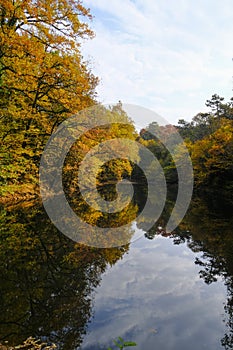 Red and orange trees reflecting in the water surface. Boschi di Carrega, Emilia-Romagna, Italy. Vertical photo