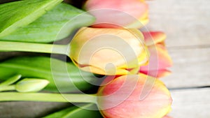 Red and orange tulip flowers in a row on wooden background in 4K VIDEO. Spring flowers.