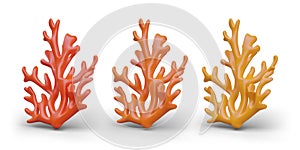 Red, orange, yellow realistic coral. Woody oceanic branching polyp