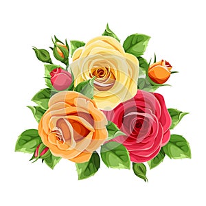 Red, orange and yellow roses isolated on white. Vector illustration.