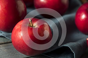 Red Organic Macintosh Apples