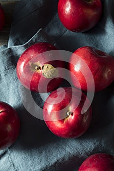 Red Organic Macintosh Apples