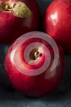 Red Organic Macintosh Apples