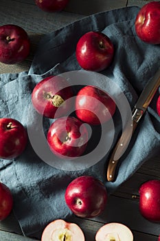 Red Organic Macintosh Apples