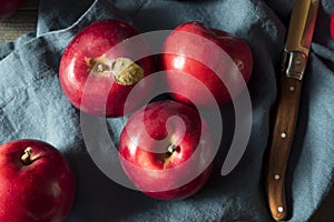 Red Organic Macintosh Apples