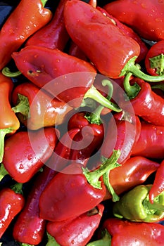 Red organic peppers, many pepper.