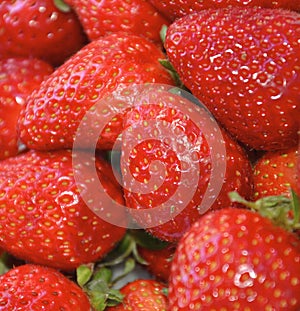 Red organic strawberries