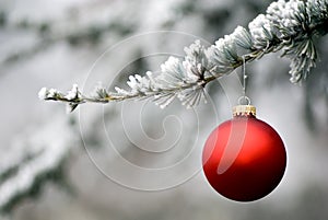 Red Ornament 5