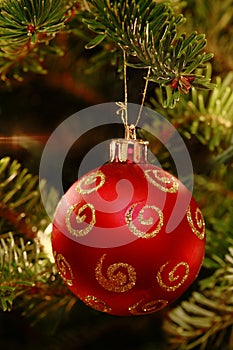 Red ornament in Christmas tree