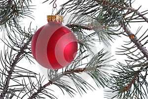 Red Ornament on Christmas Tree